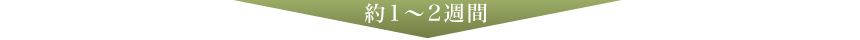 約1~2週間