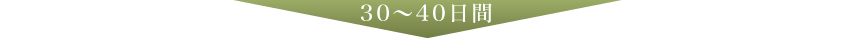 30~40日間